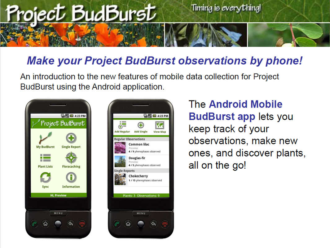 project budburst screen snip image
